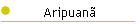 Aripuan